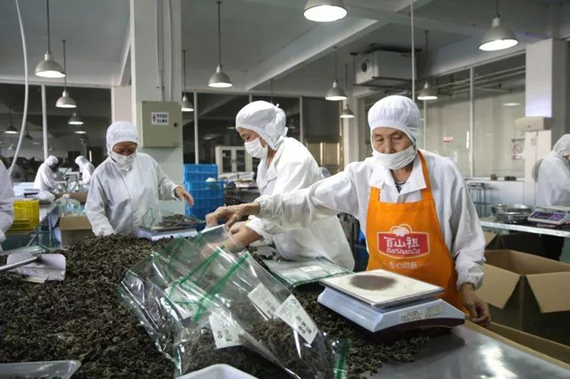慶元食用菌産業發展現狀及産業提升對策